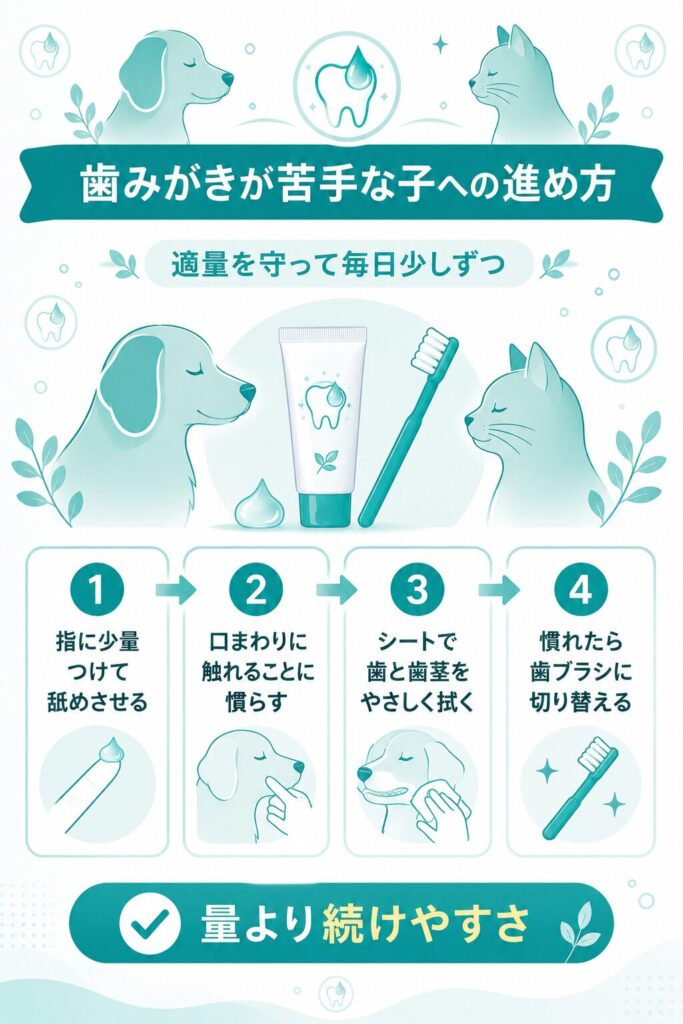 歯みがきの始め方を4ステップで示したフロー図