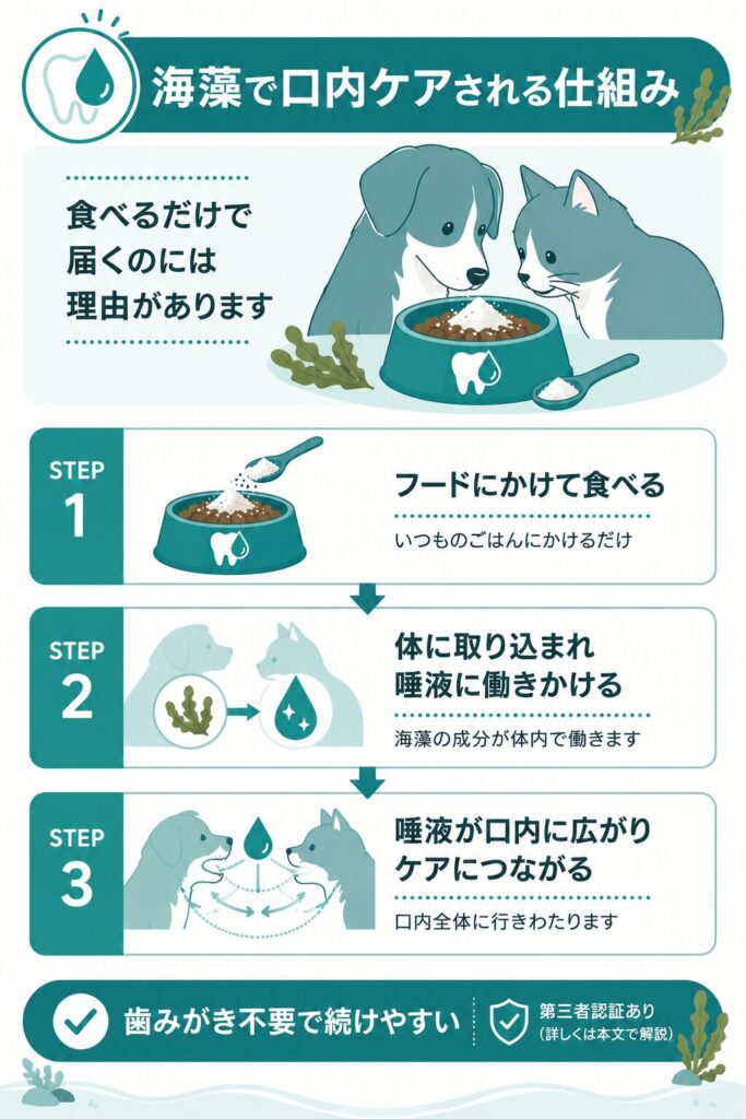 海藻で口内ケアされる仕組みを示すフロー図