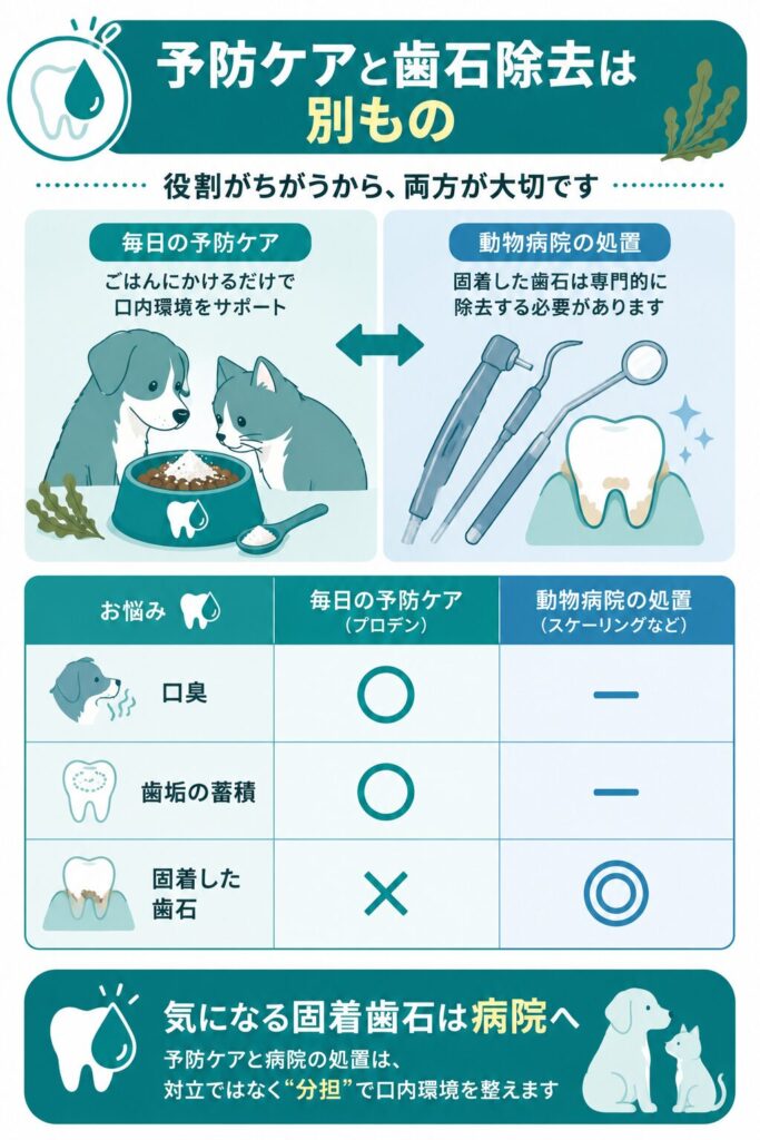 予防ケアと歯石除去の役割を分けた比較図