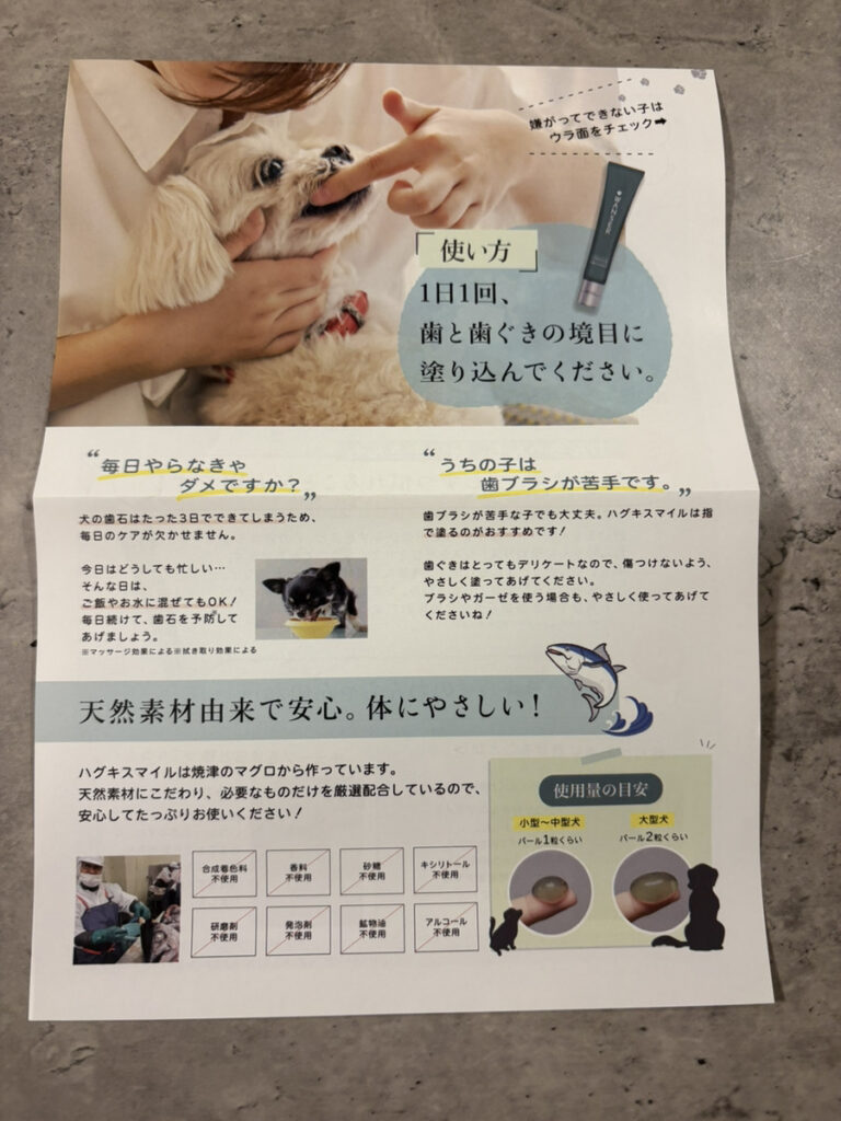 ハグキスマイルを編集部で購入/使用した際に撮影した画像3
