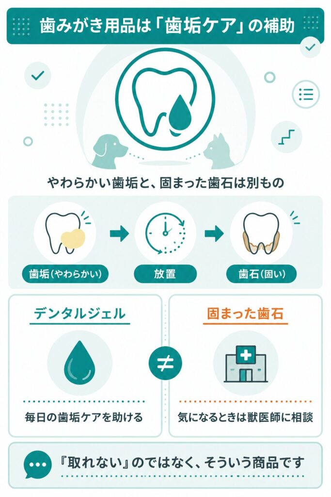 歯垢ケアと歯石の違いを示す図解