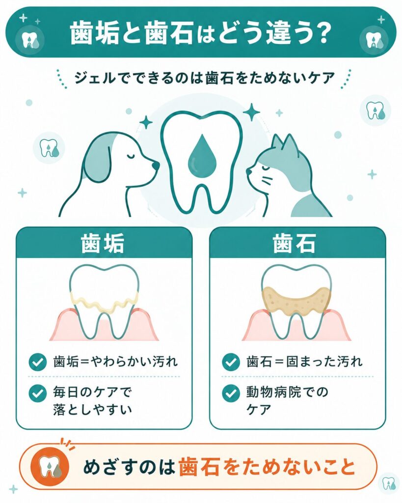 歯垢と歯石の違いとジェルでできるケアを示した図解
