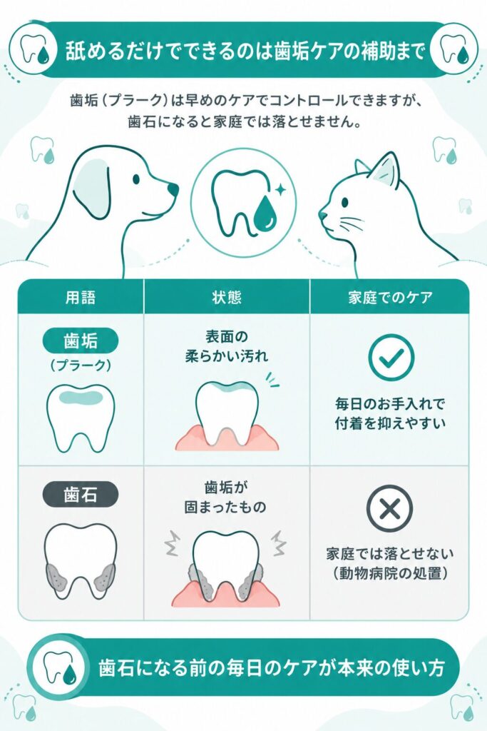 歯垢と歯石の違いと家庭ケアの範囲を示す解説図