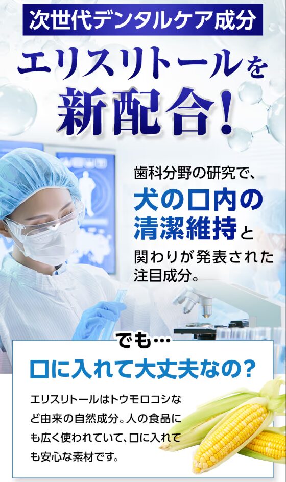 ドクターデンタルワン公式の成分と不使用成分の記載