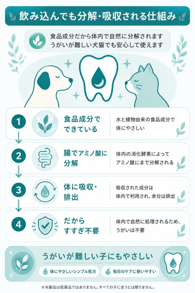 飲み込んでも分解・吸収される仕組みの図
