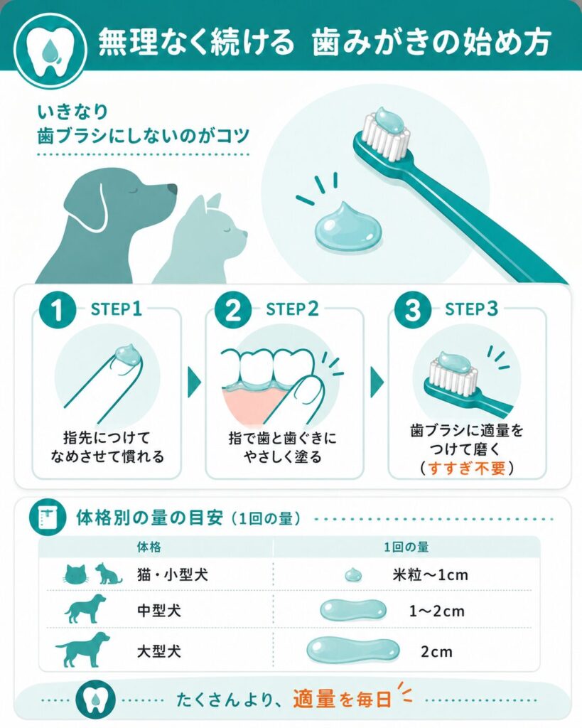 歯みがきの始め方3ステップと体格別の量の目安の図