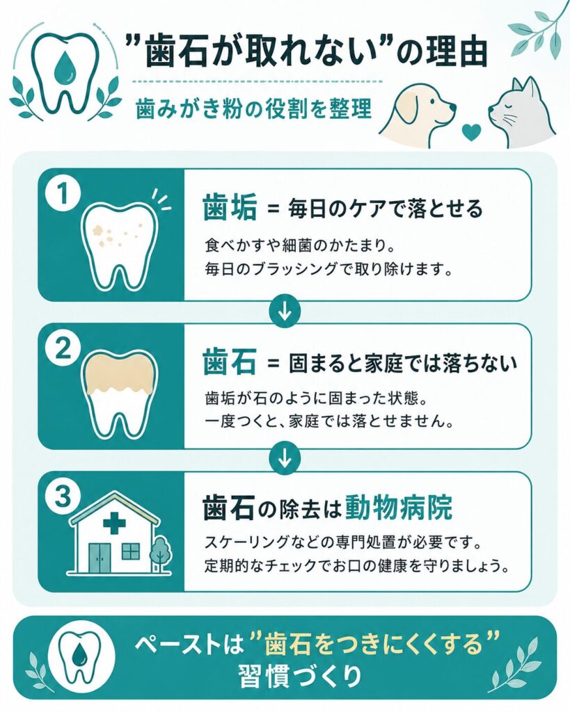 歯垢と歯石の違いと除去方法を示した解説図