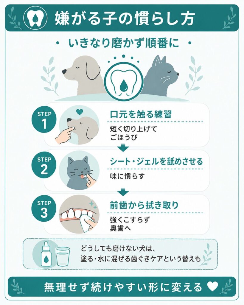 歯みがきを嫌がる犬猫への慣らし方と替えケアの流れ図