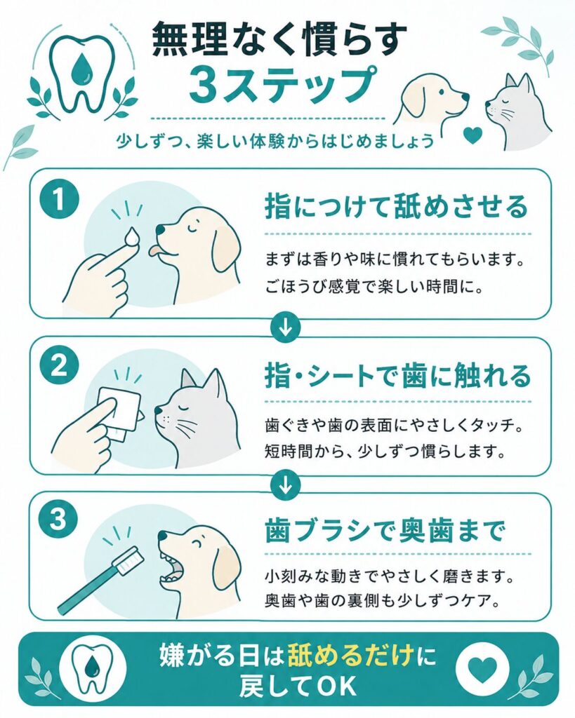 歯みがきに慣らす3ステップを示したフロー図
