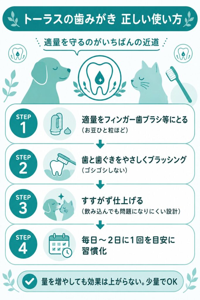 トーラスの歯みがきの正しい使い方を示した手順図