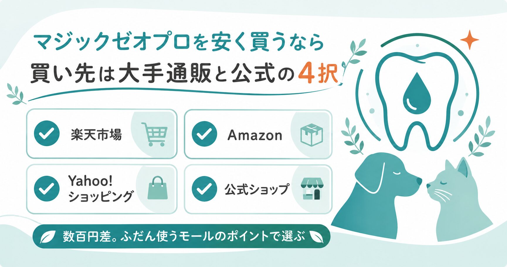 マジックゼオプロの購入先を大手通販と公式に整理した図