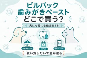 ビルバック歯みがきペーストをどこで買うかを犬猫の対と購入ルートで示した図