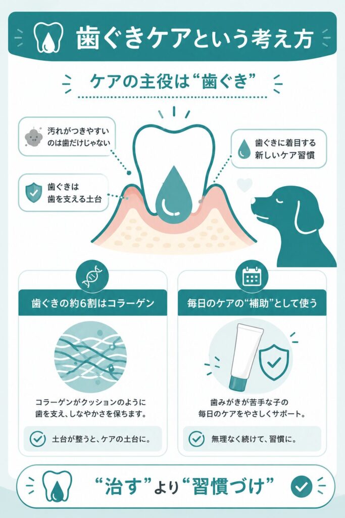 歯ではなく歯ぐきに着目するケアの考え方の図解