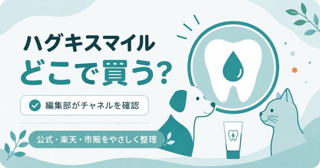 ハグキスマイルの販売チャネルを整理した図解