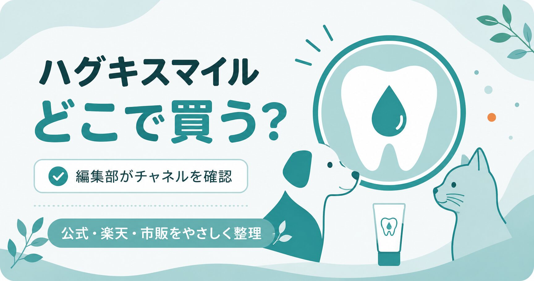 ハグキスマイルの販売チャネルを整理した図解