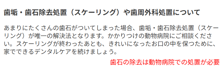 歯石の除去は動物病院での処置が必要と示す獣医情報