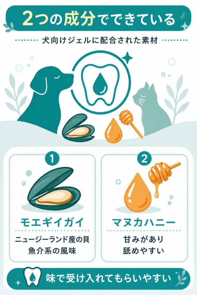 モエギイガイとマヌカハニーの特徴解説図