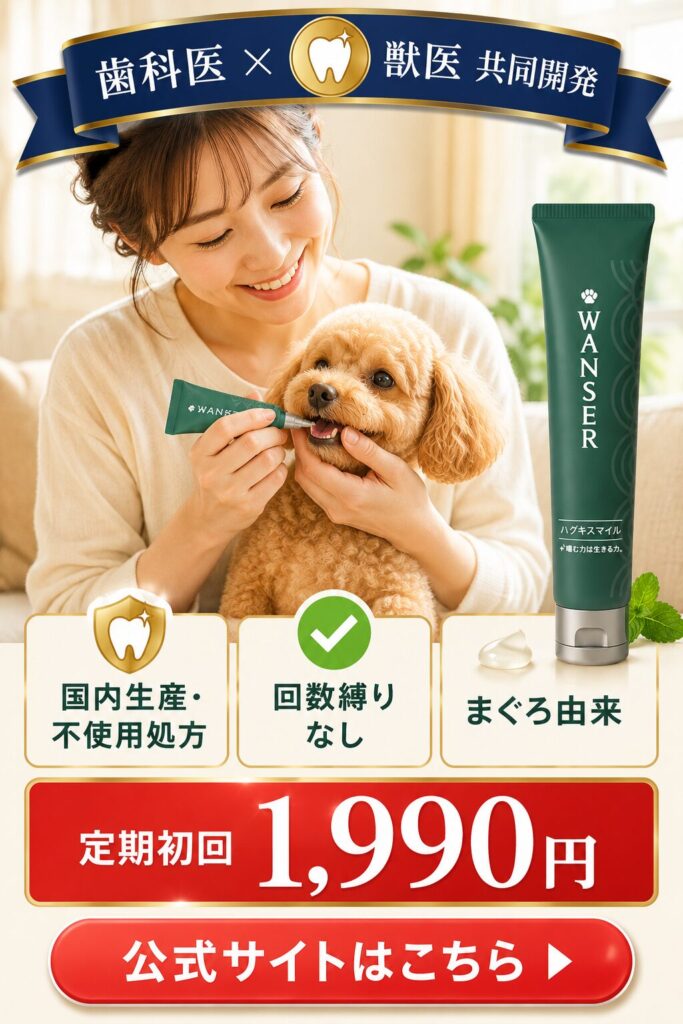 ハグキスマイルのおすすめポイントCTA